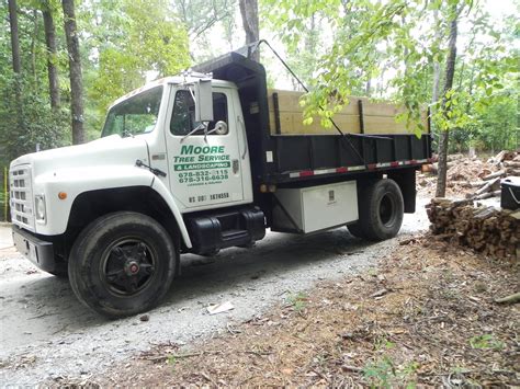 moore tree service in athens ga